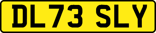 DL73SLY