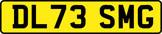 DL73SMG