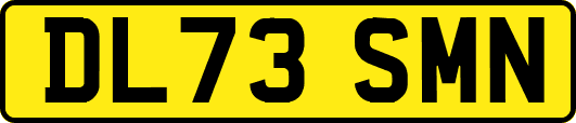 DL73SMN