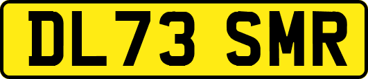 DL73SMR