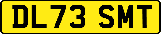DL73SMT