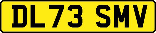DL73SMV