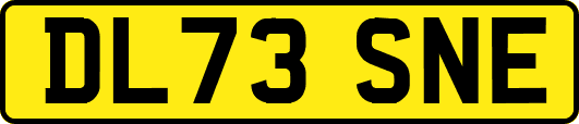 DL73SNE