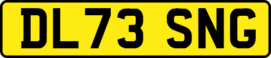 DL73SNG
