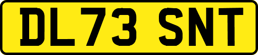 DL73SNT