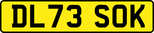DL73SOK