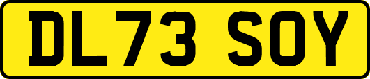 DL73SOY