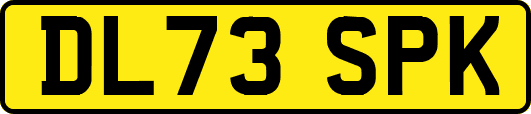 DL73SPK