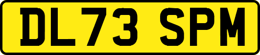 DL73SPM