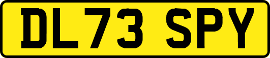 DL73SPY
