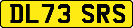 DL73SRS