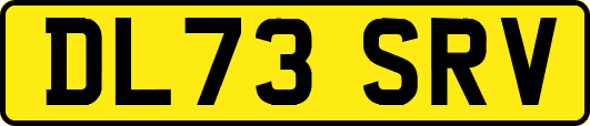 DL73SRV