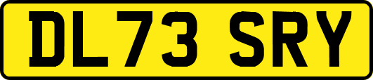 DL73SRY