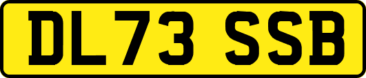 DL73SSB
