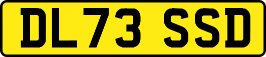 DL73SSD