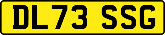 DL73SSG