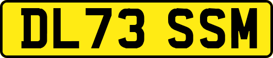 DL73SSM