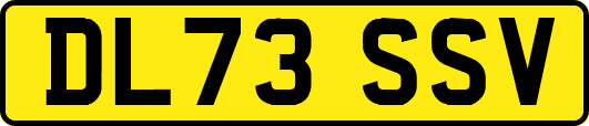DL73SSV