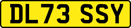 DL73SSY