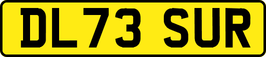 DL73SUR