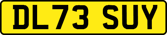 DL73SUY