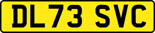 DL73SVC