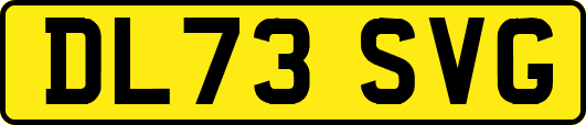 DL73SVG