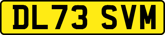 DL73SVM