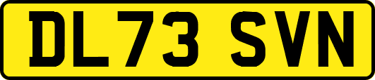 DL73SVN