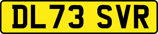 DL73SVR