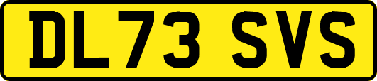 DL73SVS