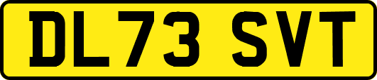 DL73SVT