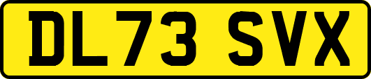 DL73SVX