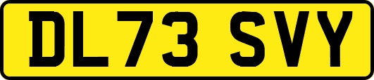DL73SVY