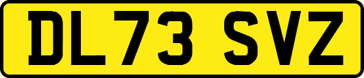 DL73SVZ