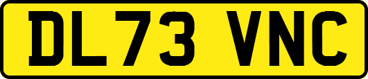 DL73VNC