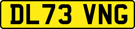 DL73VNG