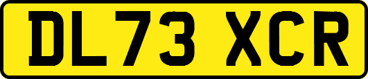 DL73XCR