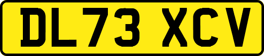 DL73XCV