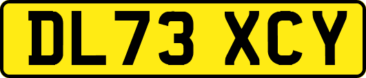 DL73XCY