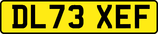 DL73XEF