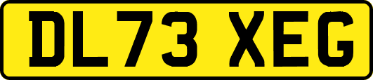 DL73XEG