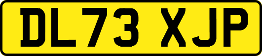 DL73XJP