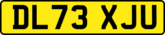 DL73XJU