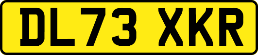 DL73XKR