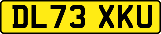 DL73XKU