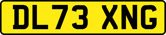DL73XNG