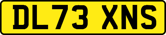 DL73XNS