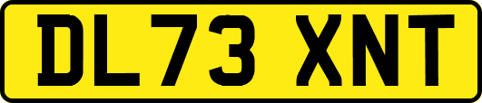 DL73XNT