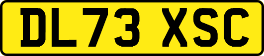 DL73XSC